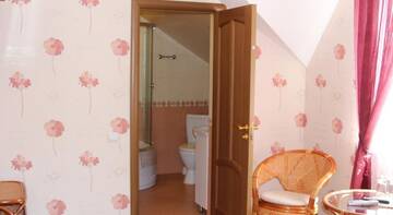 Фото номера Двухместный номер Делюкс с 1 кроватью и душем Гостевой дом Mini Hotel on Bolshaya Krasnoflotskaya 15B г. Смоленск 3